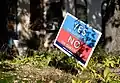 No on Question 2" campaign sign, November 2, 2021