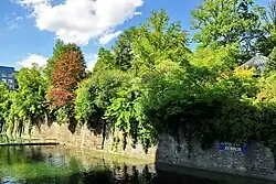 original wall at the Old Botanical Garden