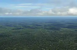 Aerial view of the Amazon Rainforest, near Manaus.