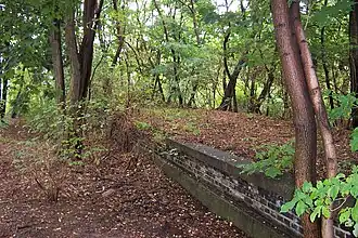Anhalter Bahnhof 2005. Platform remains - one of several sections still visible in the undergrowth.