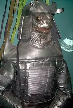 An image of a grey reptilian humanoid, with a face resembling that of a turtle. It wears grey and black armor resembling that of a samurai.