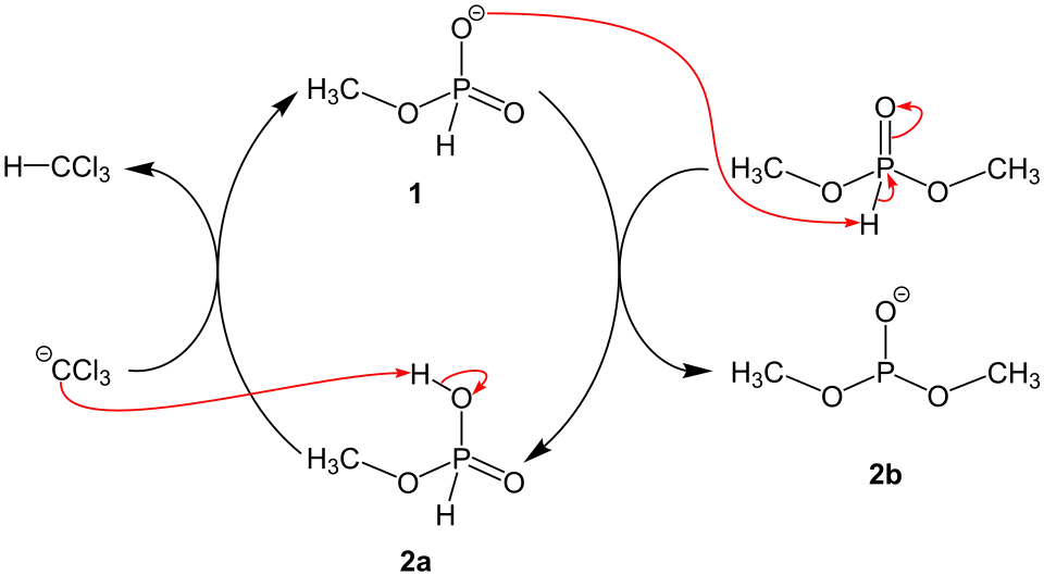 Zweiter Teil des Reaktionsmechanismus der Atherton-Todd-Reaktion