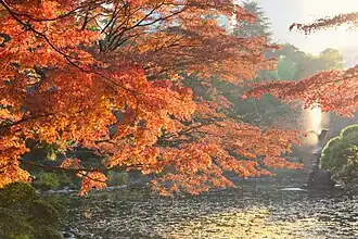 One of the ponds in the park