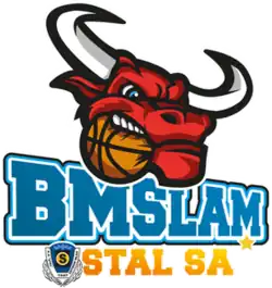 Tasomix Rosiek Stal Ostrów Wielkopolski logo