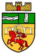 Coat of arms of Radomir Municipality