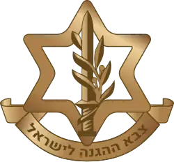 IDF Emblem, containing a sword wrapped in an olive branch inside a Star of David