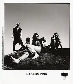Bakers Pink