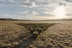 salvaged architectural sandstone, earth berm, plantings