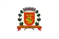 Flag of Santos