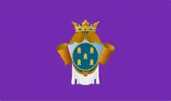 Flag of Peñaranda de Bracamonte
