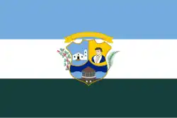 Flag of Píritu Municipality