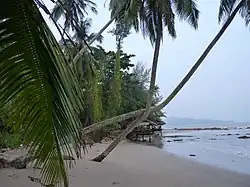 Beach at Bang Nam Chuet