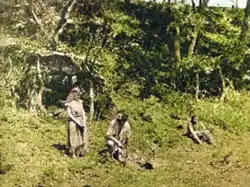 Martha, Westie, Arnold