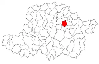 Location in Arad County