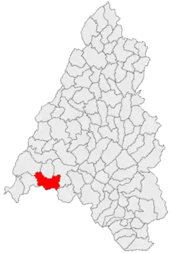 Location in Bihor County