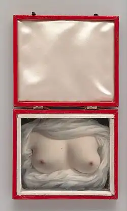 An open case, showing a painting of breasts in the bottom and a lined lid at top