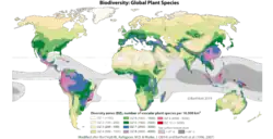 The first detailed world map of biodiversity of plants 1996 shows the global distribution of plants