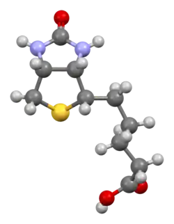 Ball-and-stick model of the Biotin molecule