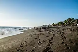 Shore in Monterrico