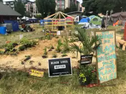 Urban garden with signs