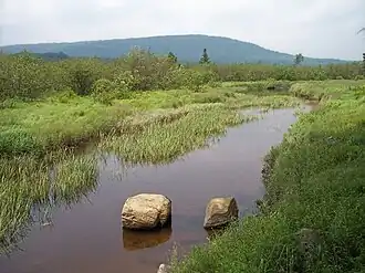 A stream meandering through a plain of wild grasses, with forested mountain ridges in the background.