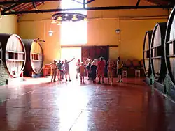 In the Cuyo region, considerable agroindustrial wine production stands out.