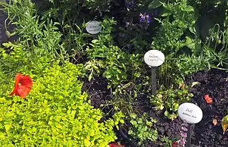 Gardens usually contain the scripture passage with the plant name.