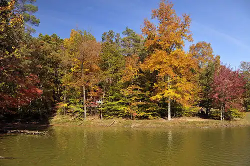 Lake shore view with orange, red, yellow, and green-leaved trees.