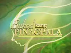 An image of silhouette of a person with long way hair, over a green background. The series title is displayed on the center of the image.