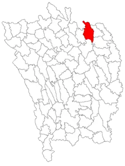 Location in Vaslui County