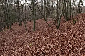 View looking west towards the tip of the spur. The limit of building in this direction is not clear due to recent disturbance. (November&nbsp;2013)