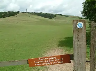The highest point of the South Downs, 270 metres (890&nbsp;ft), Butser Hill National Nature Reserve,[27] south-west of Petersfield, 240-hectare (590-acre) biological and geological Site of Special Scientific Interest[28][29] and Special Area of Conservation[30]