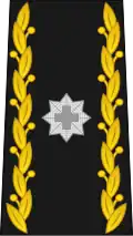 Brigade General