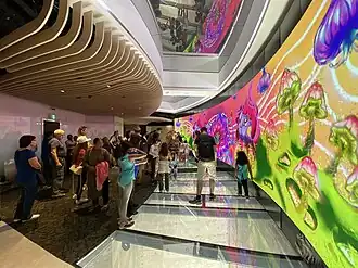 Lower Observation Level glass floor