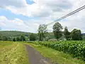 Catskill Scenic Trail as it passes through a farm.