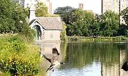 Canada goose flying into the Meer, looking east toward the Dana Discovery Center (2020).
