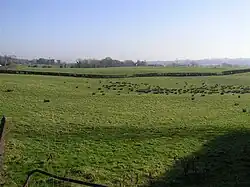 Fields in Carricknashane townland
