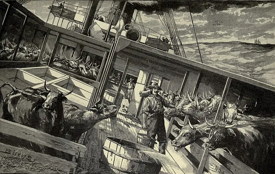 A better class of steamer, good weather, adequate ventilation[157]