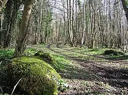 Causeway at Inish Decarne