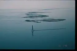 The Chandeleur Islands after Hurricane Georges; the islands are flooded and defoliated