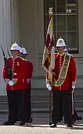 Regimental Colours in London, 2012.