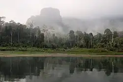 Primary tropical rainforest around Cheow Lan Lake