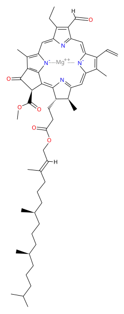 Structure of β-Chlorophyll