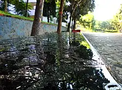 Christian college chengannur