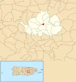 Location of Cidra barrio-pueblo within the municipality of Cidra shown in red