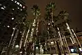 Circle of Palms Plaza and Fairmont at Night