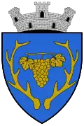 Coat of arms of Miercurea Sibiului