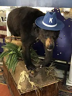 A taxidermy black bear mounted inside a store. The bear is wearing a blue hat emblazoned with a white letter "K".