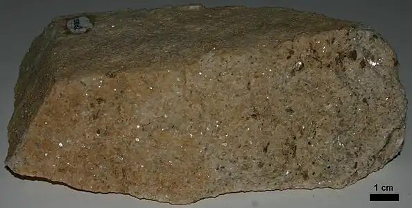 Sample of Massive Metadolostone Member of Cockeysville Marble, from old quarry near Lower Dam of Loch Raven Reservoir, Baltimore County, Maryland