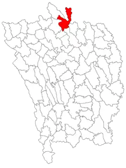 Location in Vaslui County